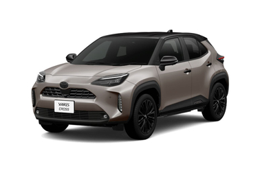 ブラックマイカ〈209〉×アーバンロック〈1M6〉［M43］フロントサイド